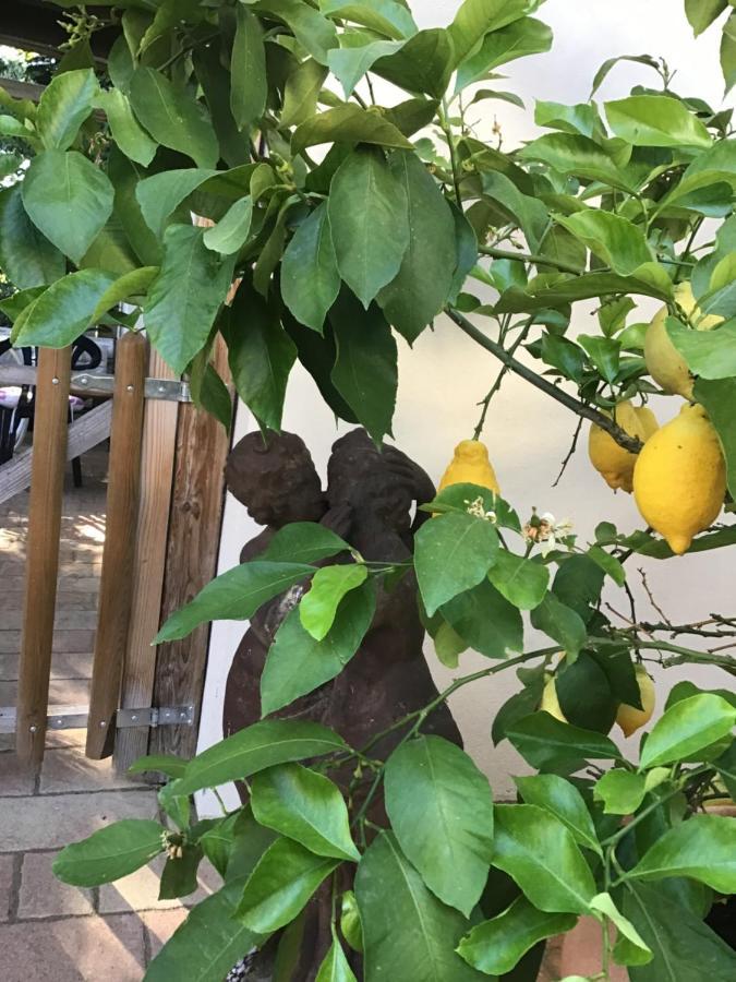 Ferienwohnung Lechraum In Waal Dış mekan fotoğraf