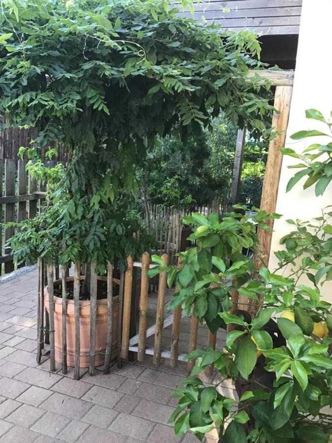 Ferienwohnung Lechraum In Waal Dış mekan fotoğraf