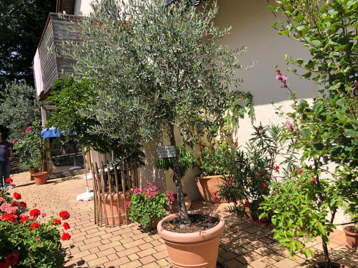 Ferienwohnung Lechraum In Waal Dış mekan fotoğraf
