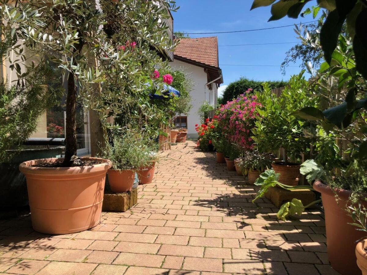 Ferienwohnung Lechraum In Waal Dış mekan fotoğraf